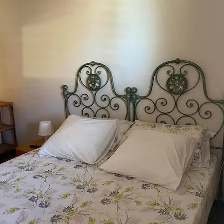 Guest *