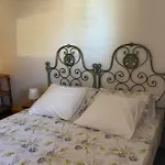 Guest *