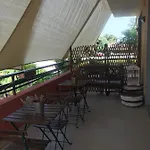 Guest